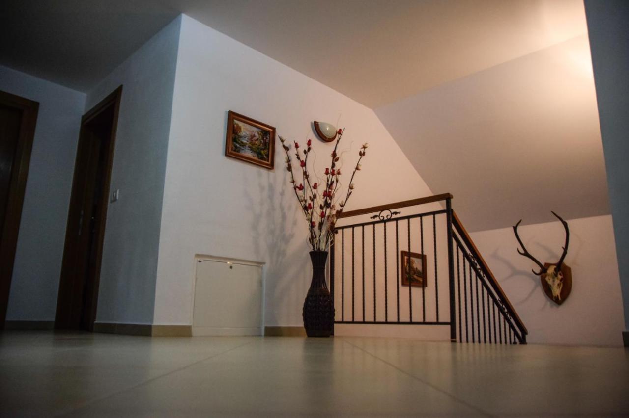 Villa Casa Alba Borşa Exterior foto