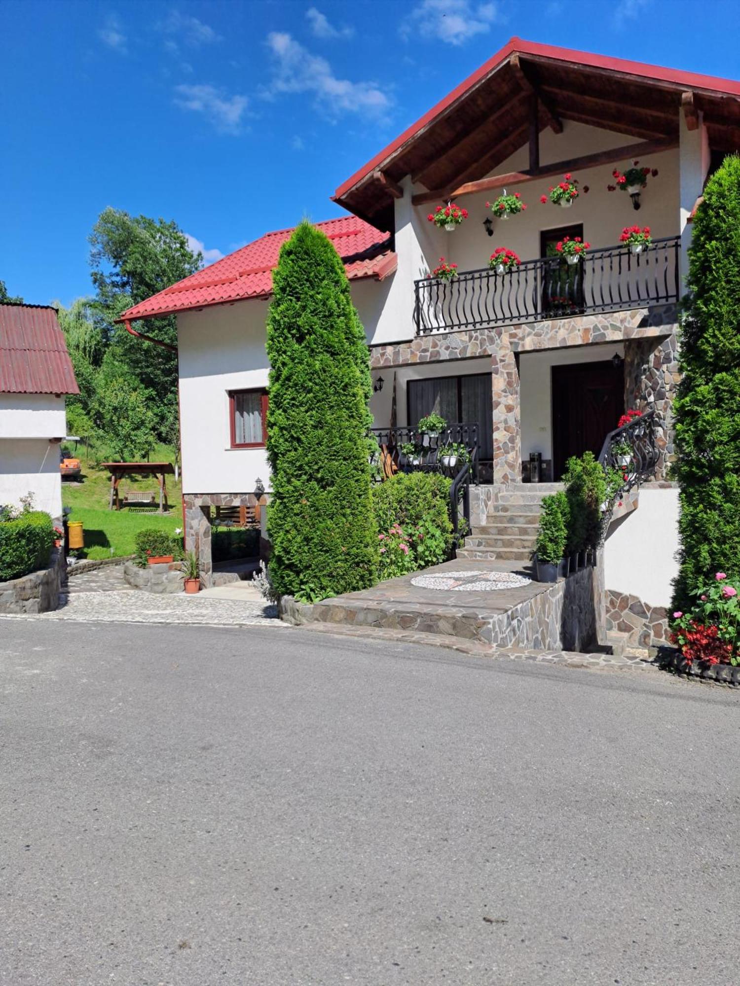 Villa Casa Alba Borşa Exterior foto